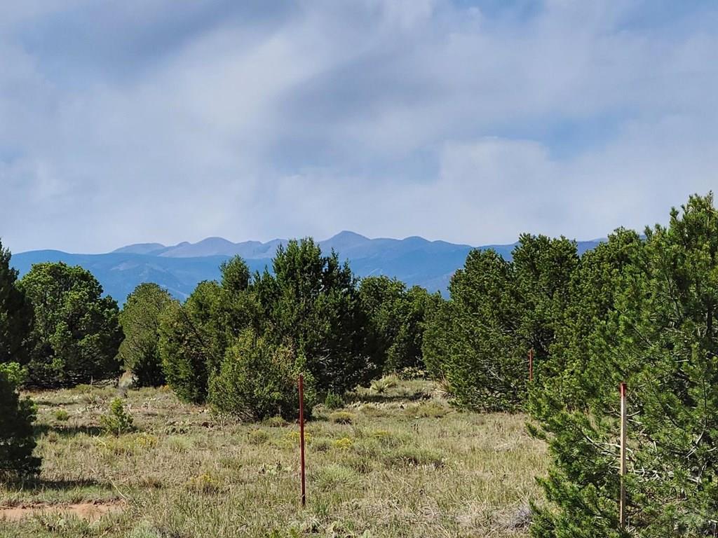 Tbd Tbd Navajo Ranch Walsenburg, CO 81089 - Photo 3 of 4