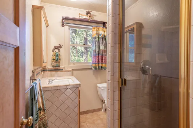 a bathroom with a sink a toilet and shower