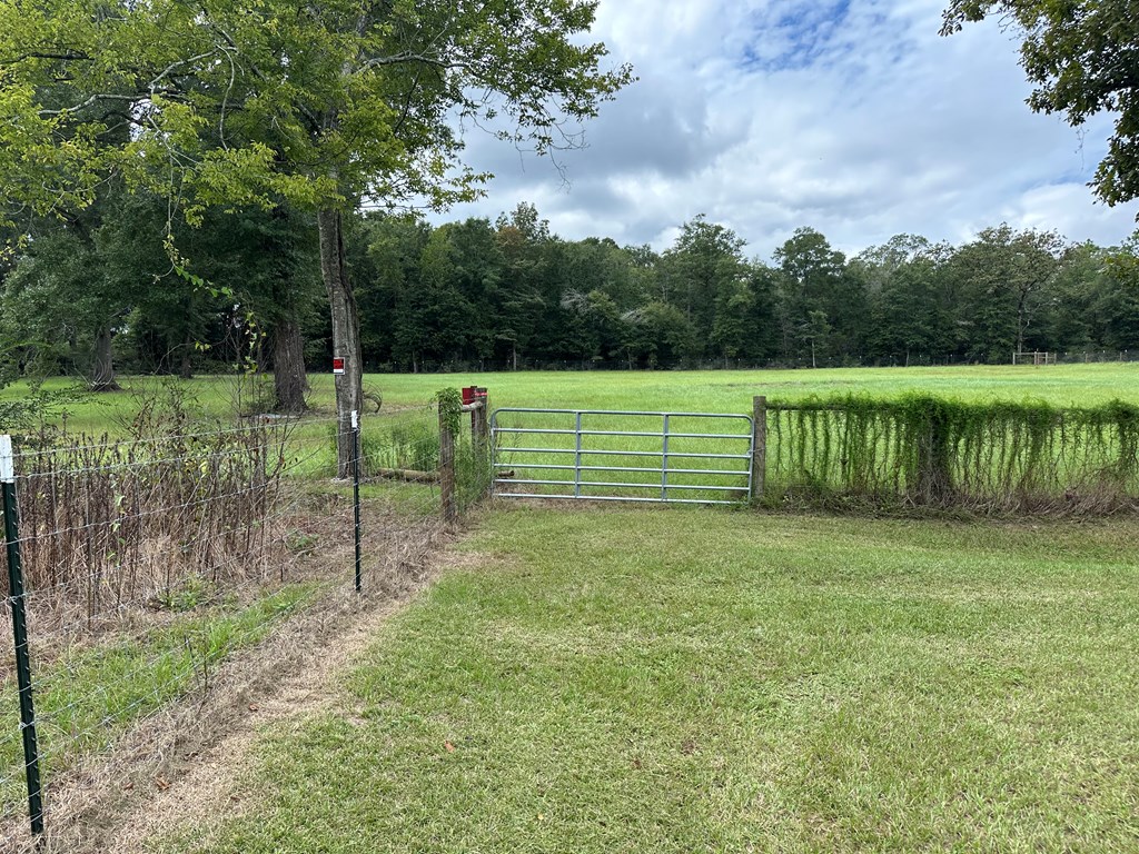 Undisclosed Address Newton, AL 36352 - Photo 8 of 13