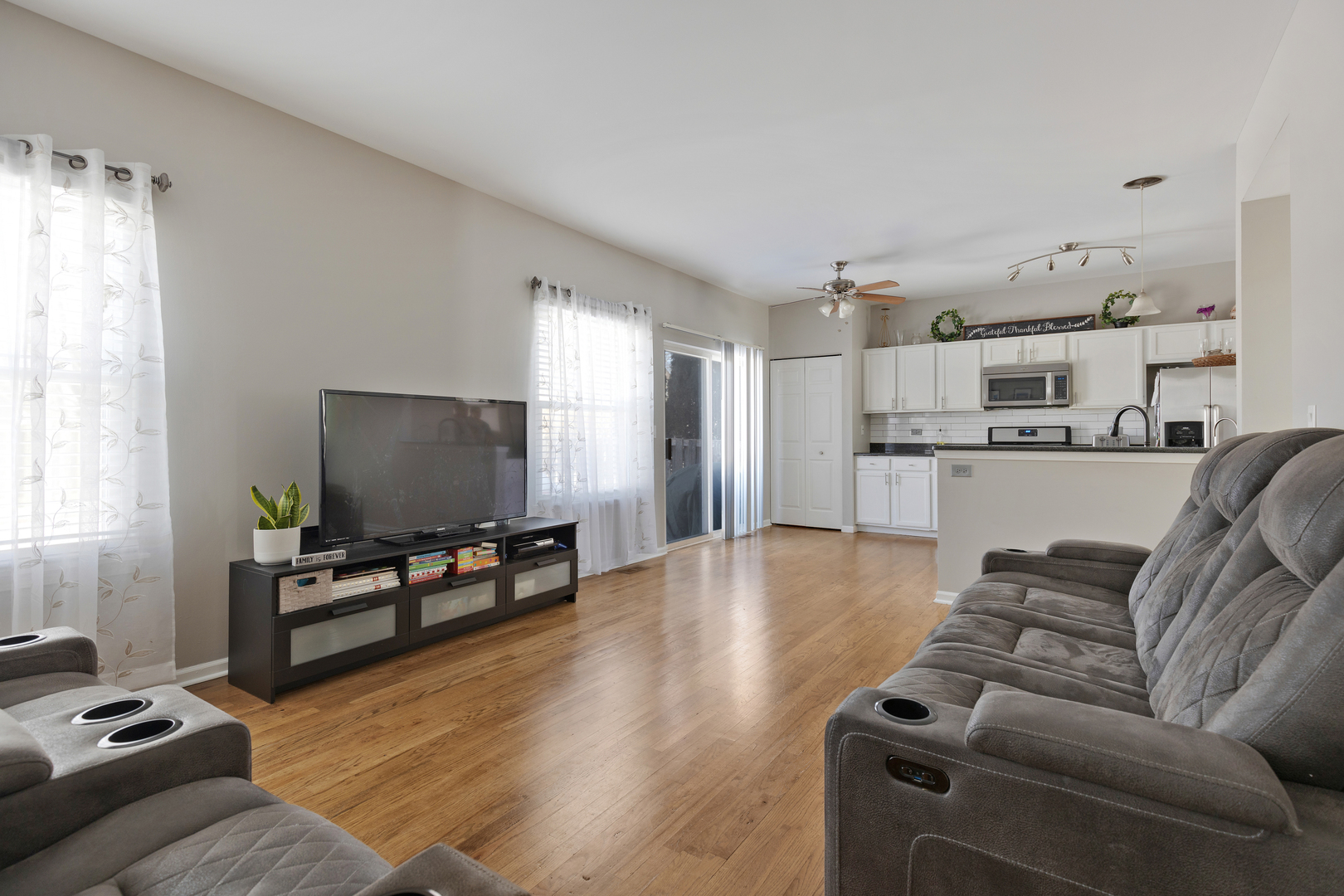 1 Carl Court Lake In The Hills, IL 60156 - Photo 8 of 20 a living room with furniture and a flat screen tv