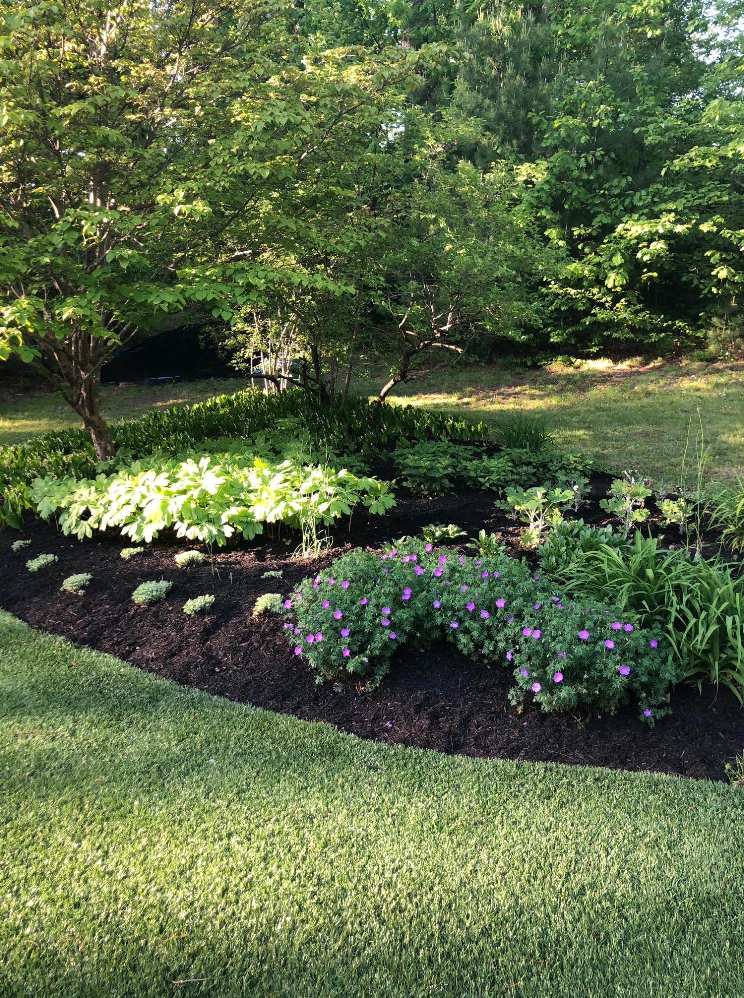 468 Emerys Bridge Road South Berwick, ME 03908 - Photo 39 of 56 Landscape