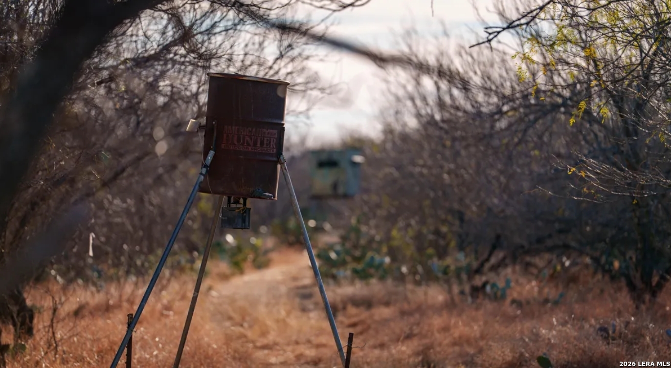 1799 Shumaca Road Carrizo Springs, TX 78834 - Photo 16 of 19