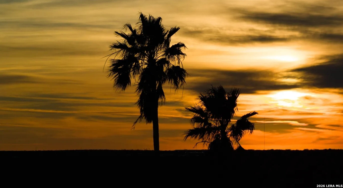 1799 Shumaca Road Carrizo Springs, TX 78834 - Photo 17 of 19