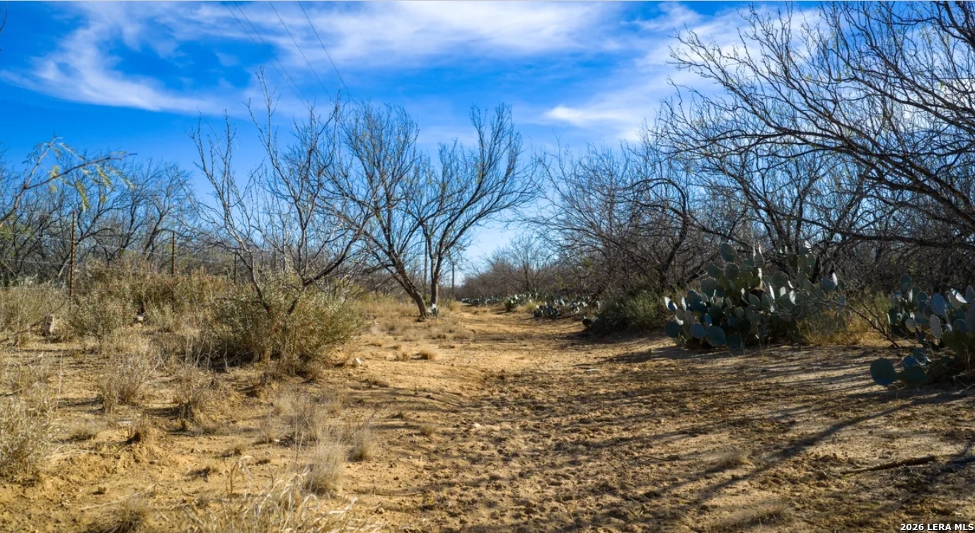 1799 Shumaca Road Carrizo Springs, TX 78834 - Photo 6 of 19