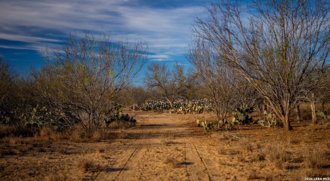 1799 Shumaca Road Carrizo Springs, TX 78834 - Photo 8 of 19