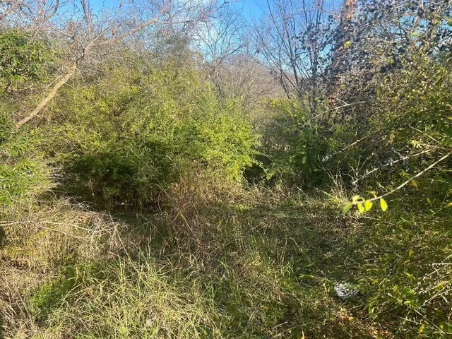 a view of a yard with a tree