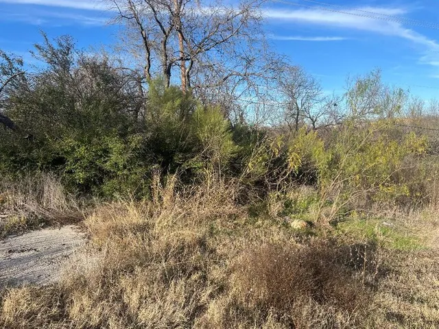 a view of a yard with an trees