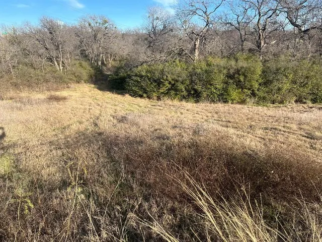 a view of a yard covered in snow
