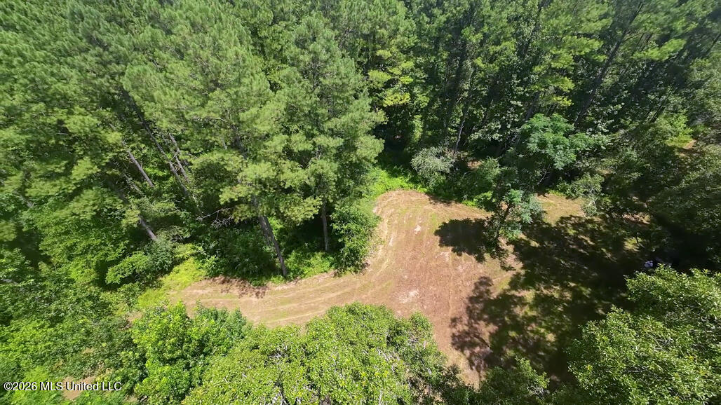 1026 Mt Olive Road Mount Olive, MS 39119 - Photo 11 of 63 A-28