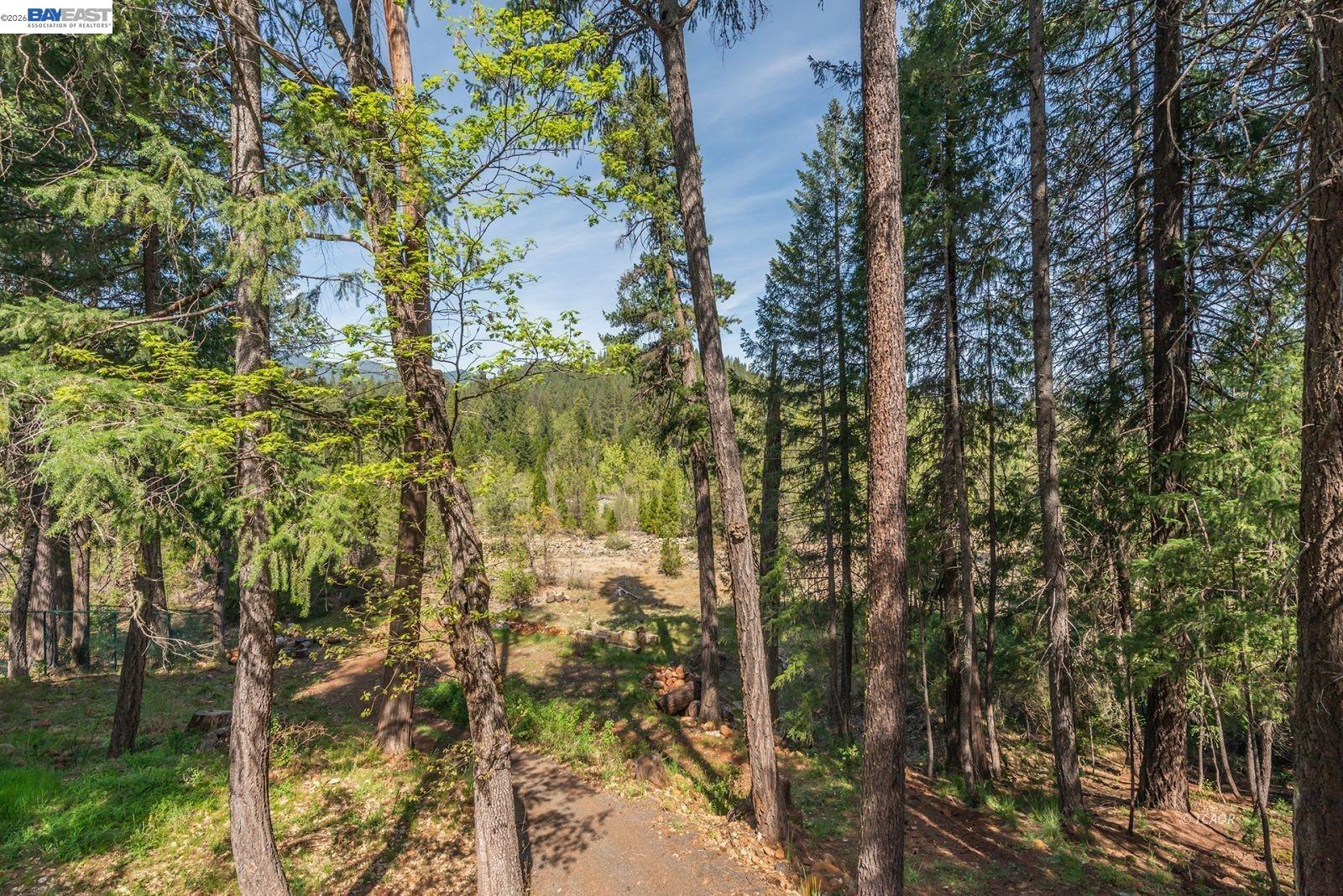 171 Airport Road Trinity Center, CA 96091 - Photo 34 of 49