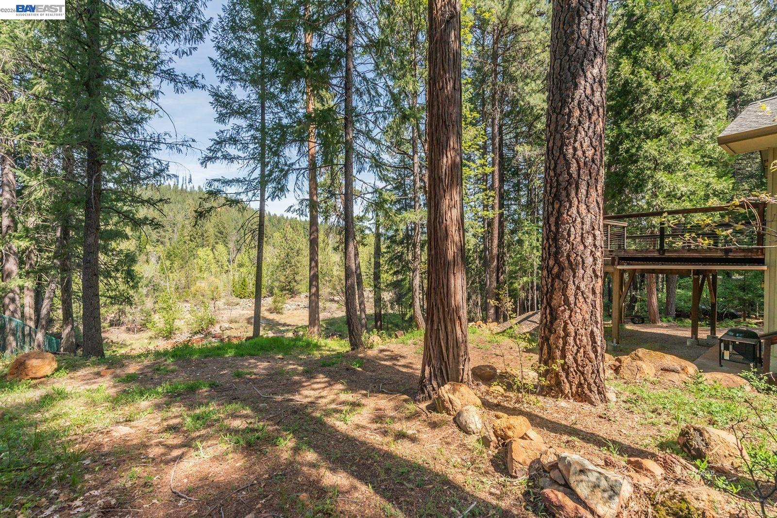 171 Airport Road Trinity Center, CA 96091 - Photo 37 of 49