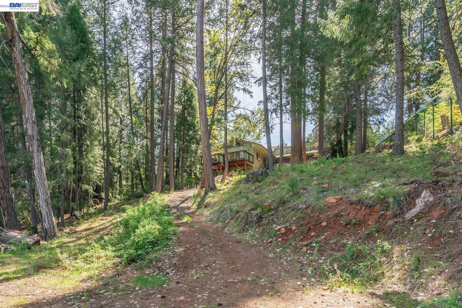 171 Airport Road Trinity Center, CA 96091 - Photo 41 of 49