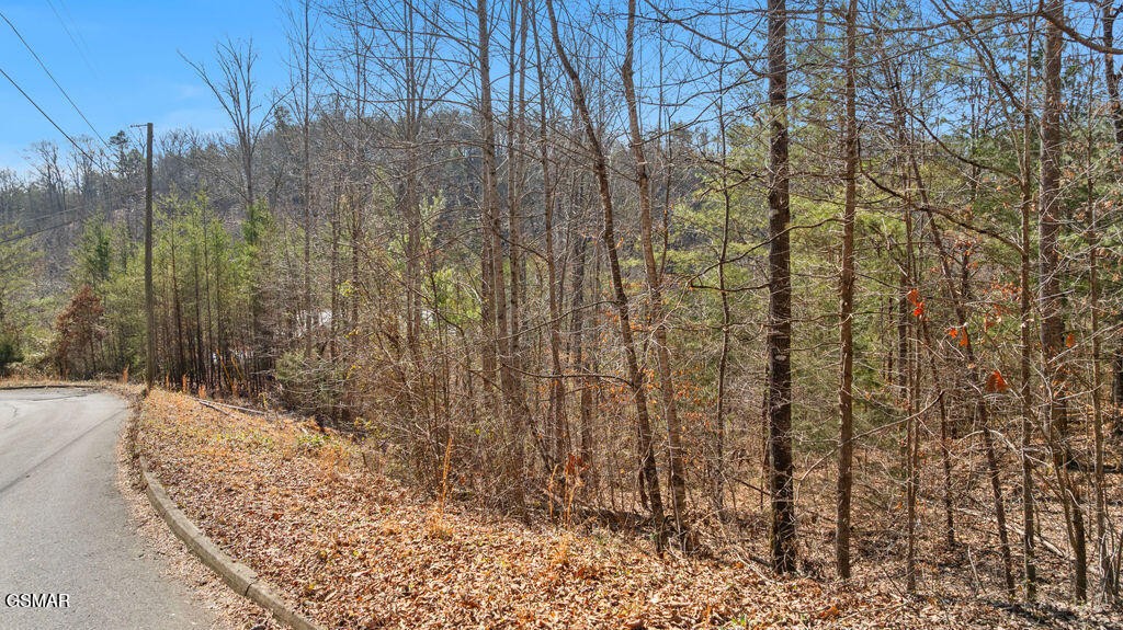 128 Bear Valley Road Sevierville, TN 37876 - Photo 7 of 14