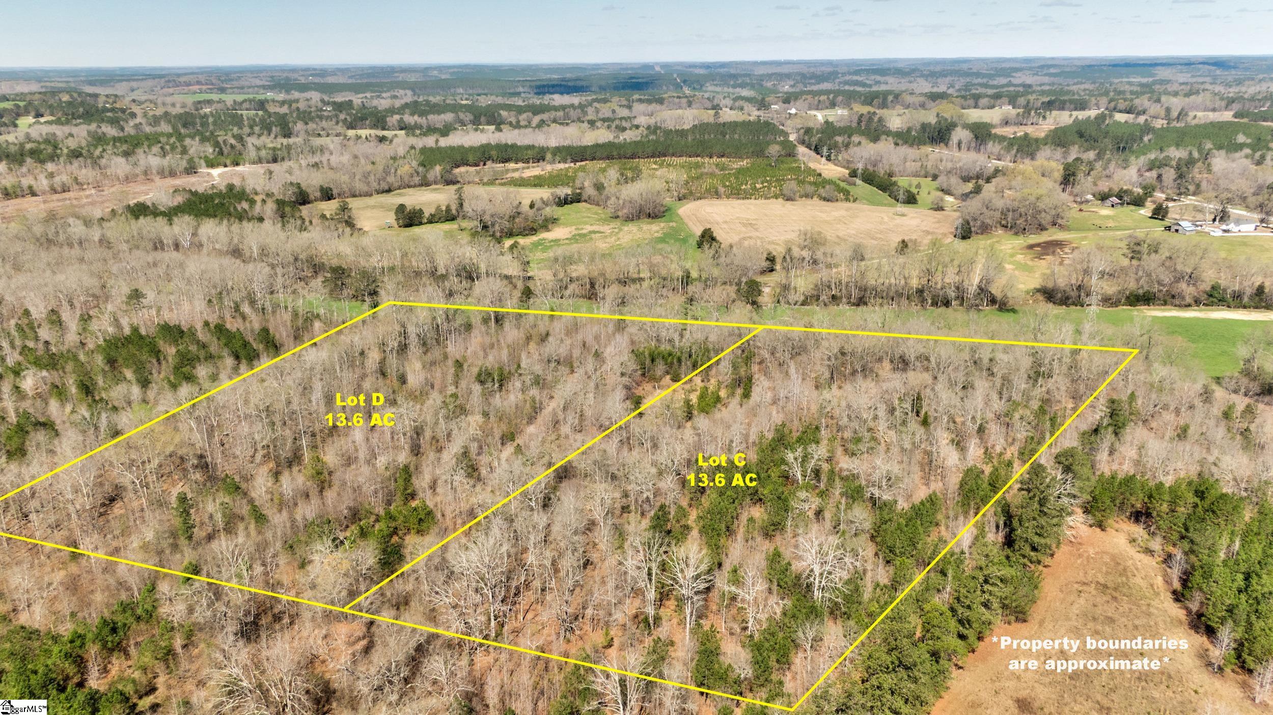 Lot C Lot C Beatty's Bridge Rd Union Laurens, SC 29360 - Photo 3 of 10