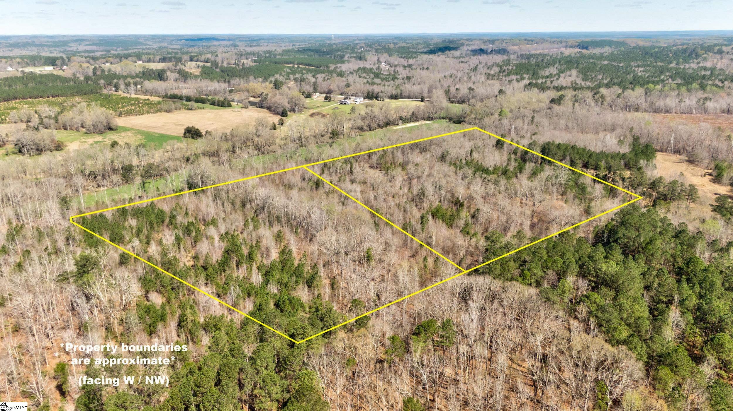 Lot C Lot C Beatty's Bridge Rd Union Laurens, SC 29360 - Photo 4 of 10