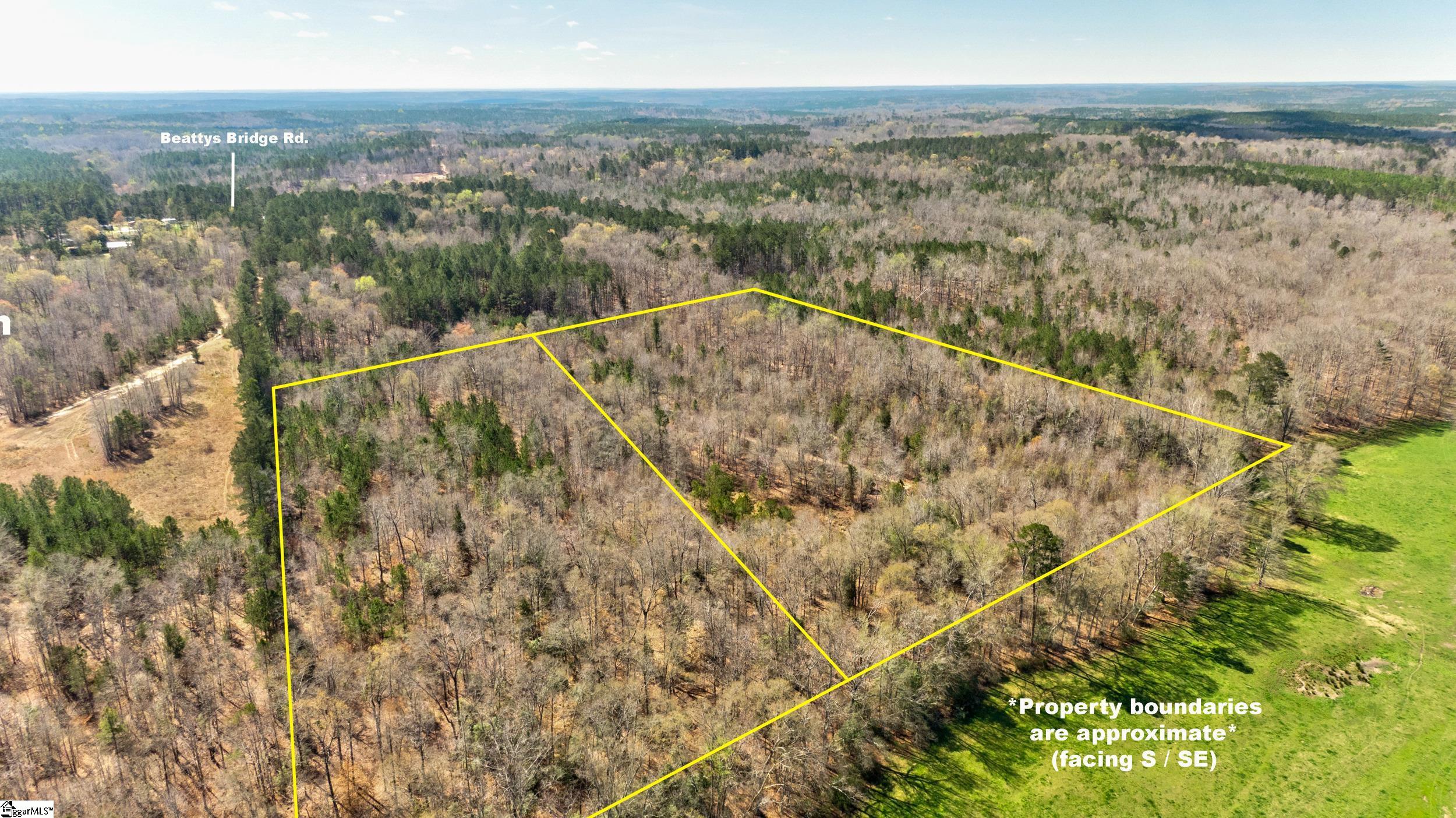 Lot C Lot C Beatty's Bridge Rd Union Laurens, SC 29360 - Photo 5 of 10
