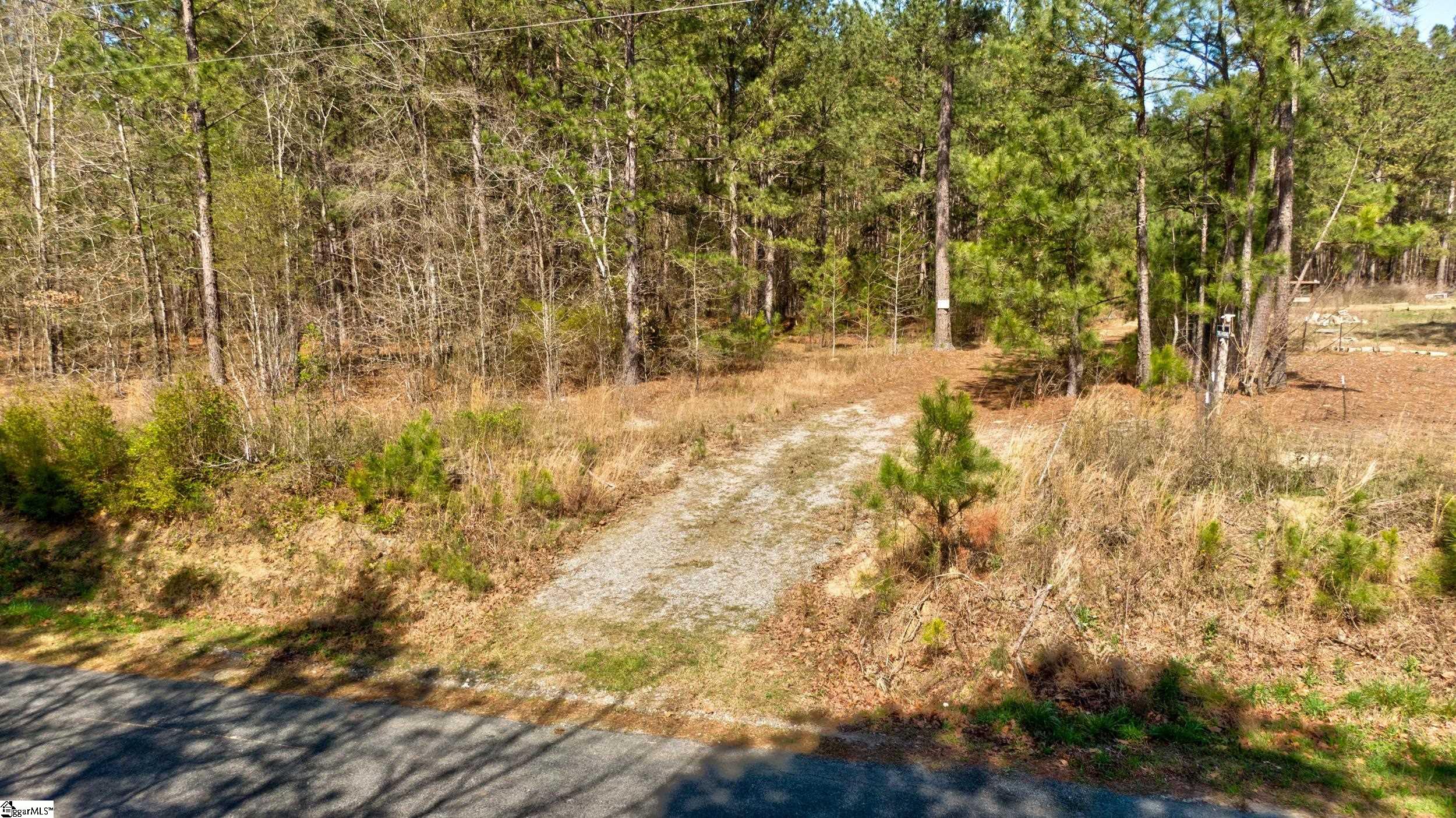 Lot C Lot C Beatty's Bridge Rd Union Laurens, SC 29360 - Photo 6 of 10