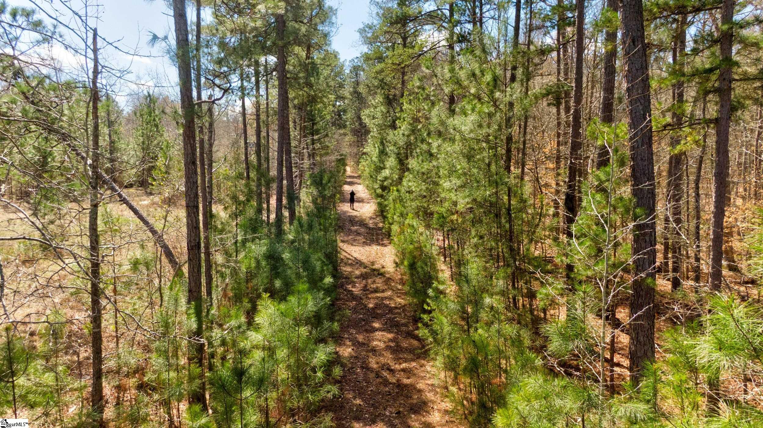 Lot C Lot C Beatty's Bridge Rd Union Laurens, SC 29360 - Photo 7 of 10