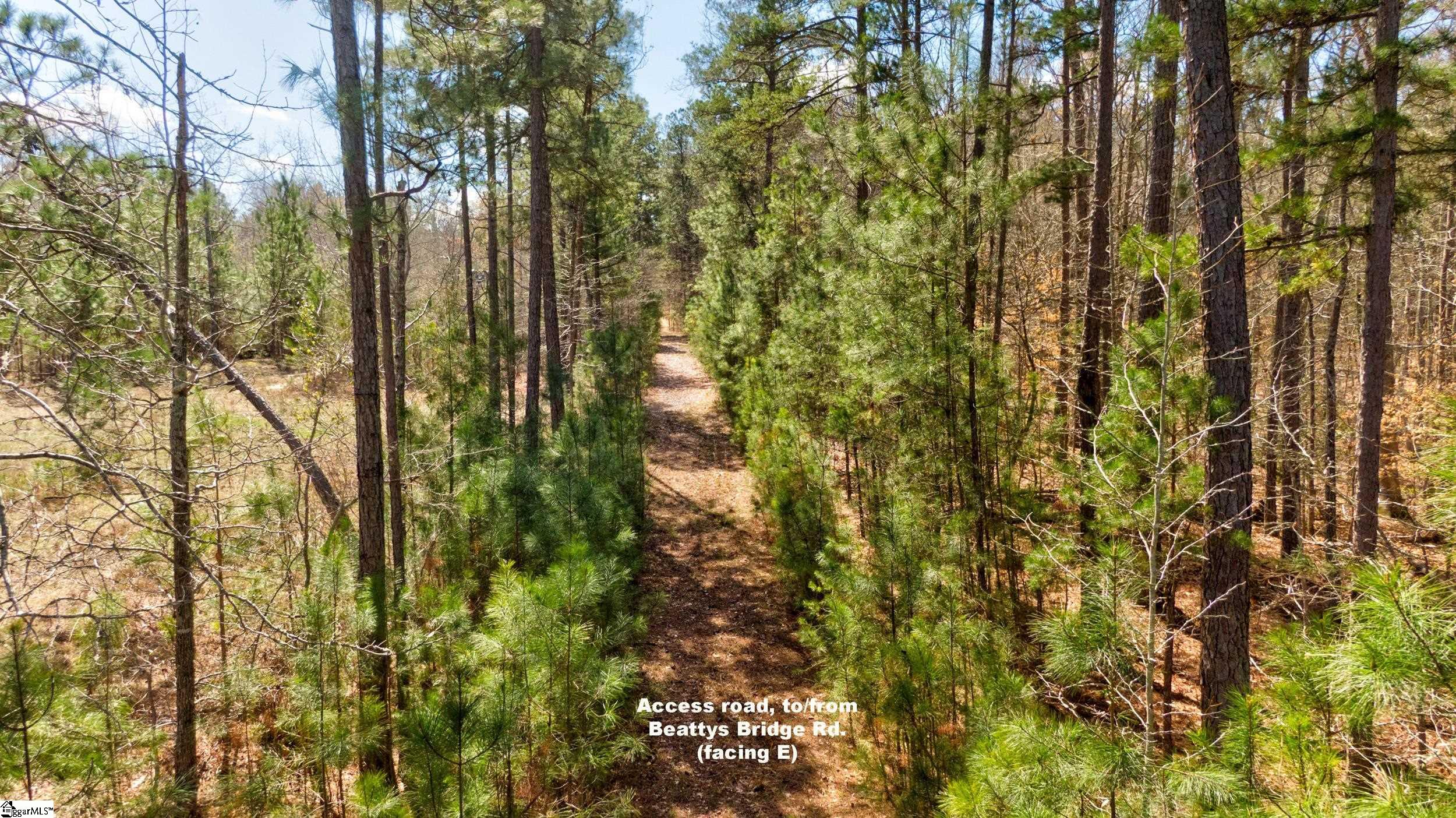Lot C Lot C Beatty's Bridge Rd Union Laurens, SC 29360 - Photo 8 of 10