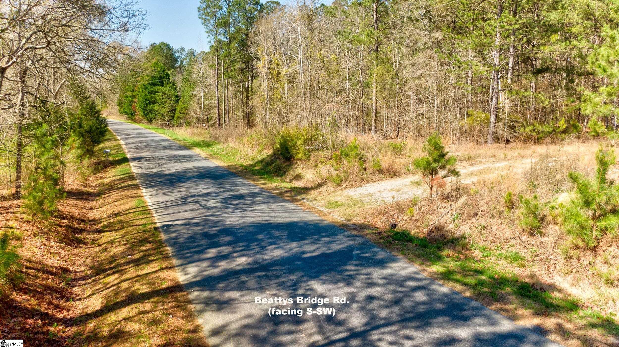 Lot C Lot C Beatty's Bridge Rd Union Laurens, SC 29360 - Photo 9 of 10
