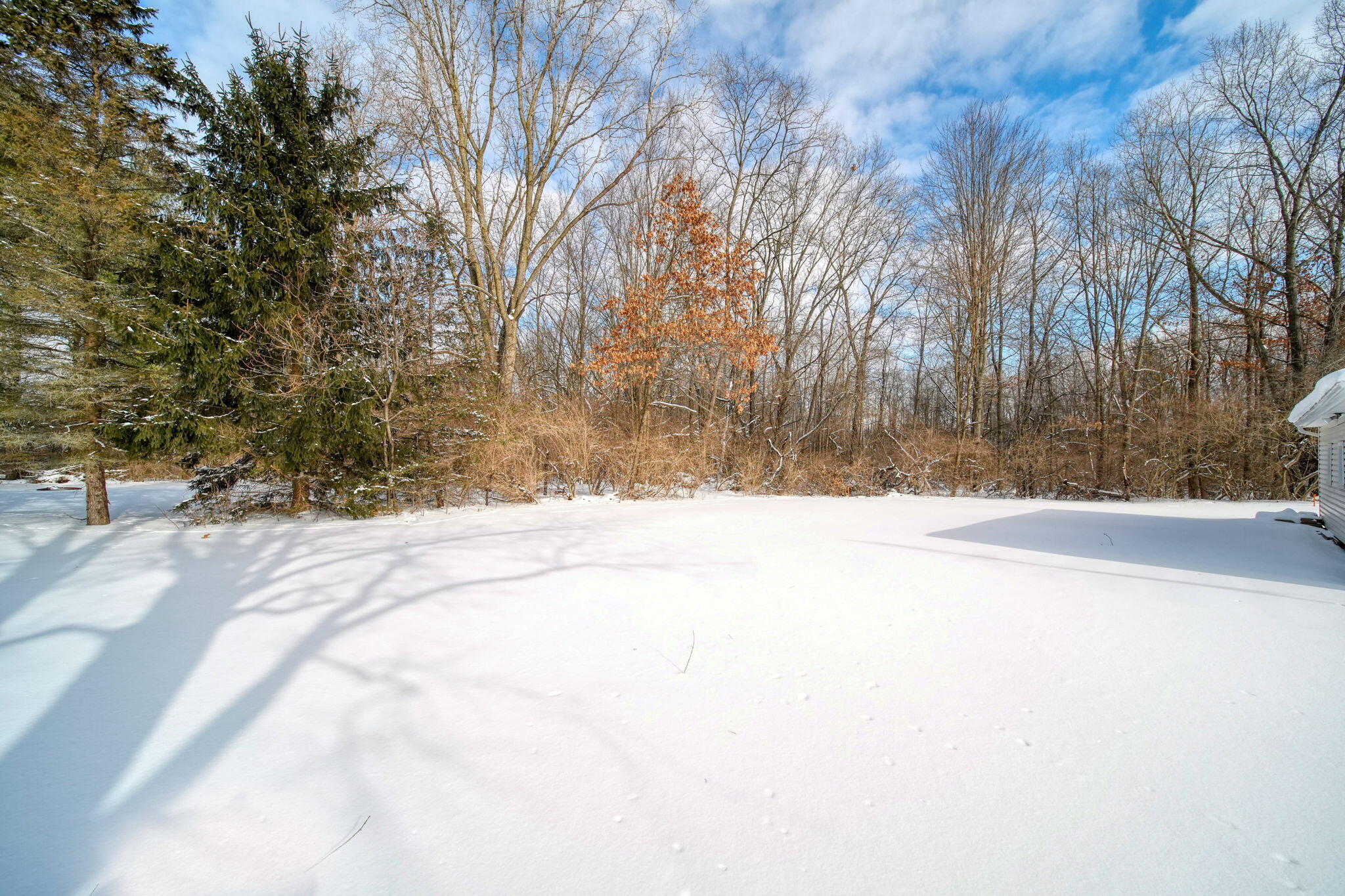 6728 King Road Spring Arbor, MI 49283 - Photo 42 of 42 42-web-or-mls-DSC03614_HDR