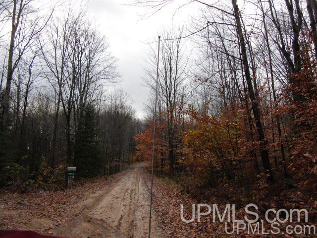 16085 15.5 Road Wetmore, MI 49895 - Photo 15 of 20