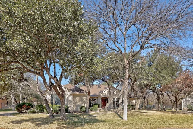 a view of a house with potted plants and a large tree