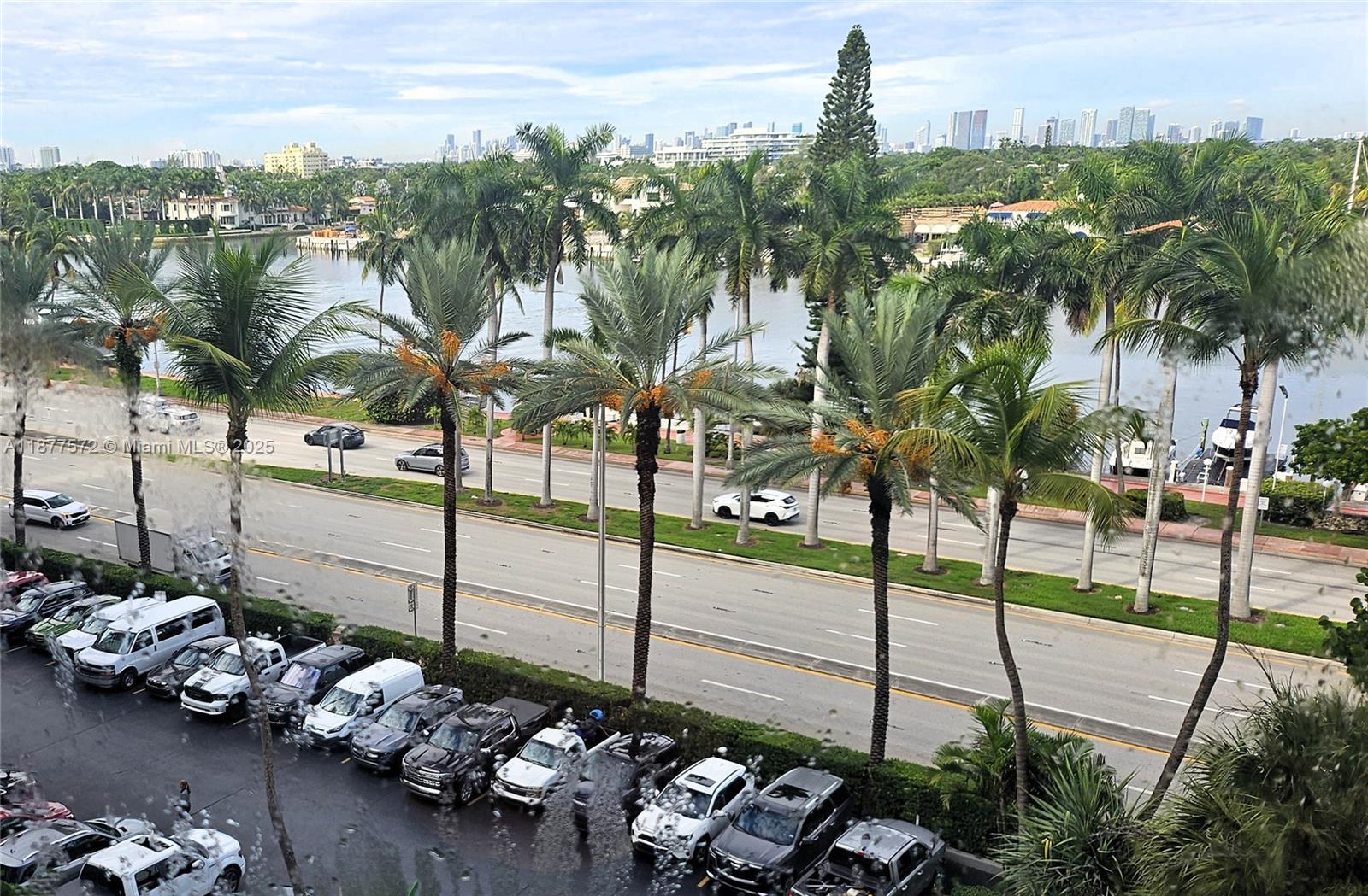 5161 Collins Avenue, Unit 707 Miami Beach, FL 33140 - Photo 69 of 69 a view of a park with large trees