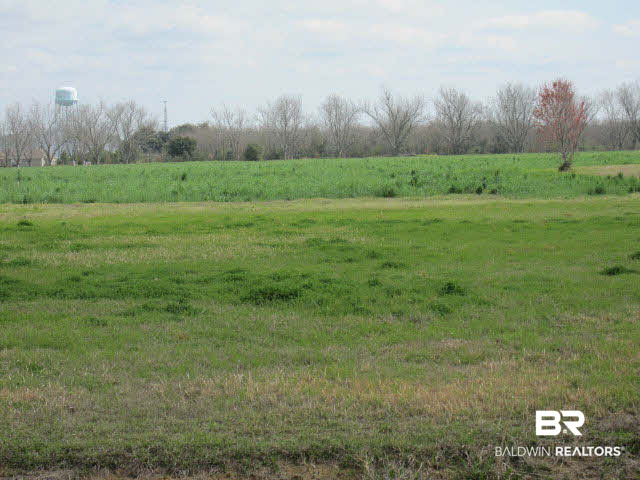 0 South Friendship Road South Daphne, AL 36526 - Photo 5 of 5 Phase One
