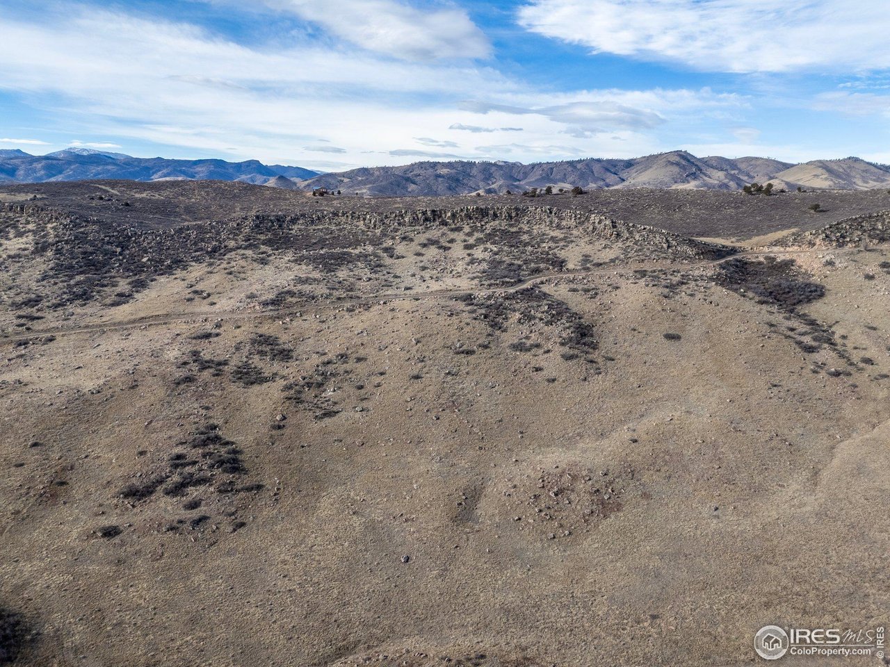 7805 Arapahoe Valley Road Laporte, CO 80535 - Photo 8 of 30 a view of a dry forest with mountains in the background