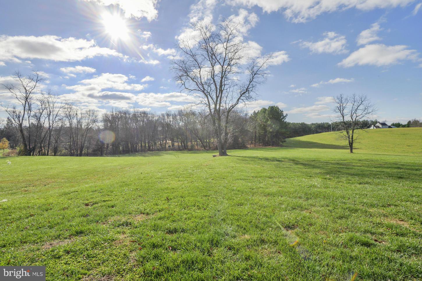 13701 Old Rover Road West Friendship, MD 21794 - Photo 20 of 23 Backyard