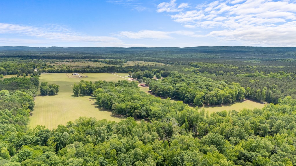 186 Beech Springs Road Pine Mountain, GA 31822 - Photo 10 of 59