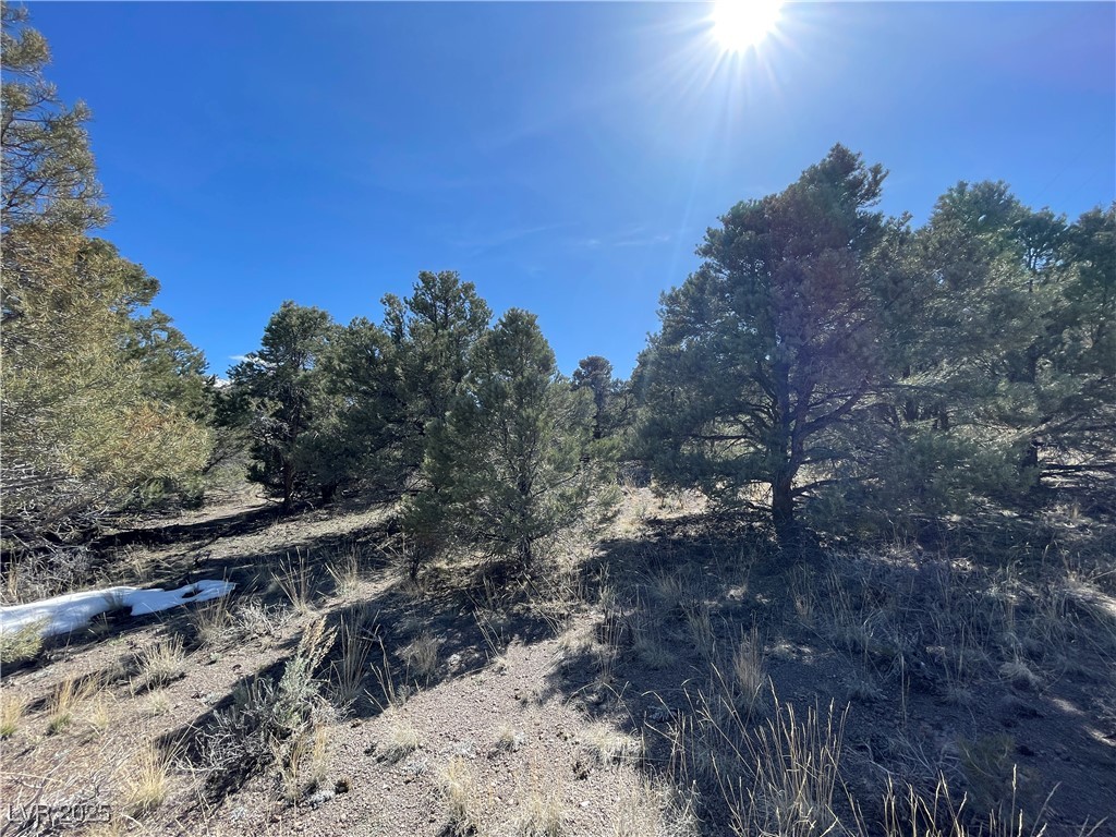 P-13 Butte Valley Ely, NV 89301 - Photo 2 of 3