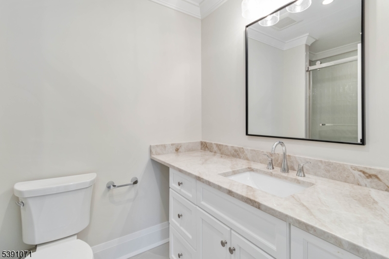 2 Whitman Drive Chatham, NJ 07928 - Photo 37 of 50 a bathroom with a granite countertop sink and a toilet