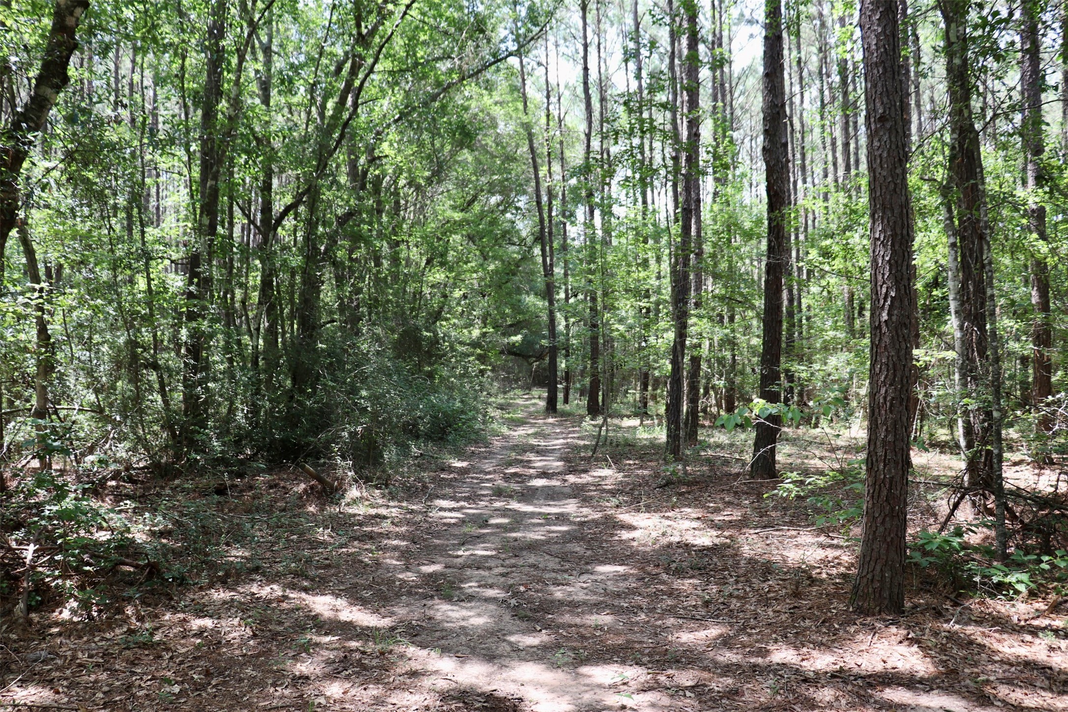 1250 Meekins Road Cleveland, TX 77328 - Photo 32 of 44