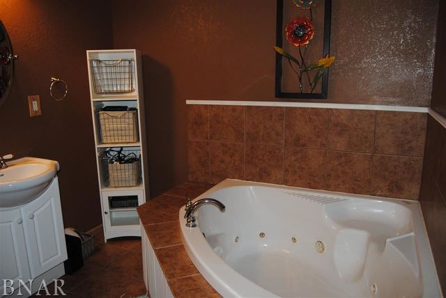 758 Weldon Springs Road Maroa, IL 61756 - Photo 17 of 30