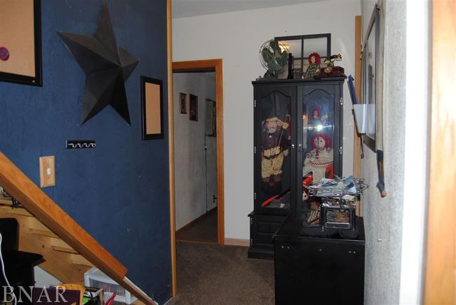 758 Weldon Springs Road Maroa, IL 61756 - Photo 9 of 30