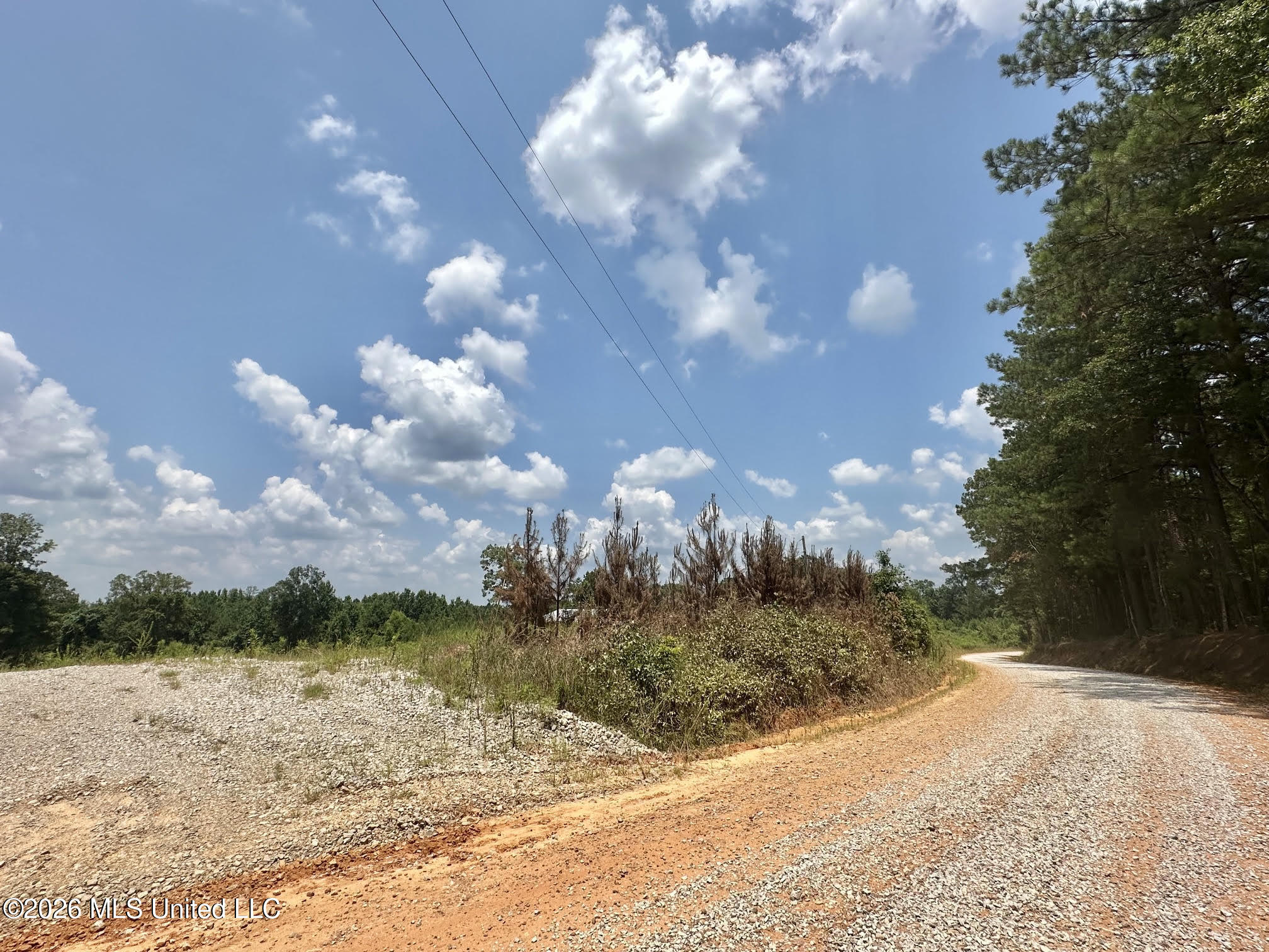 Callahan Road Carthage, MS 39051 - Photo 1 of 14 1