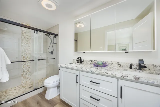 a bathroom with a granite countertop sink a toilet and a shower
