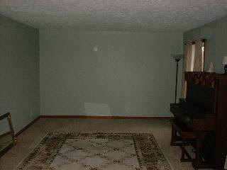 12333 Eggert Road Dundee, MI 48131 - Photo 7 of 14 699064-6.JPG