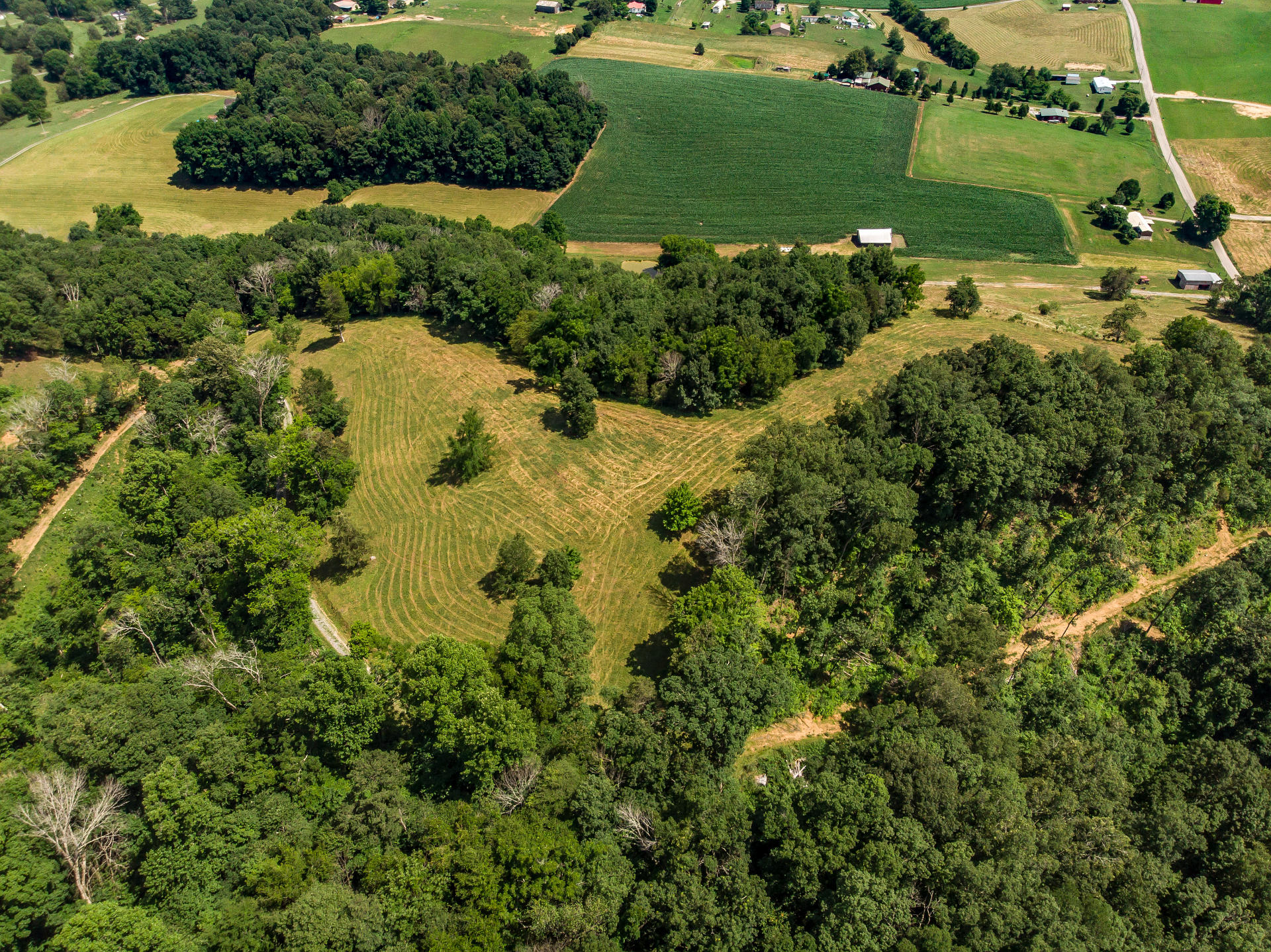 Tbd Old Midway Road, Unit 2 Mosheim, TN 37818 - Photo 54 of 77 2103OldMidway_46