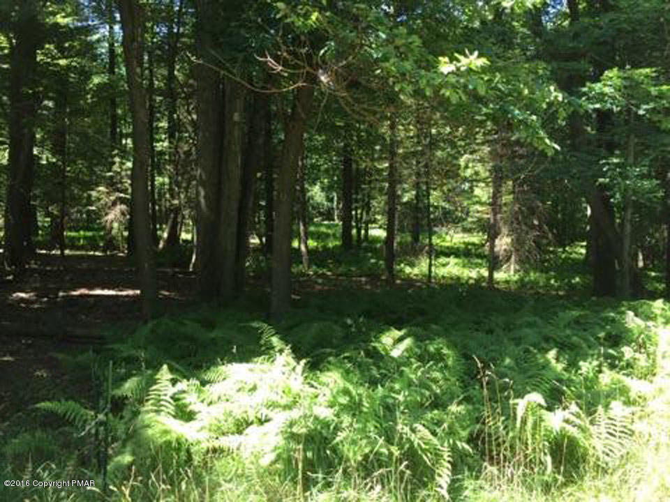 Moseywood Rd Lake Lake Harmony, PA 18624 - Photo 1 of 14 a backyard of a house with lots of green space