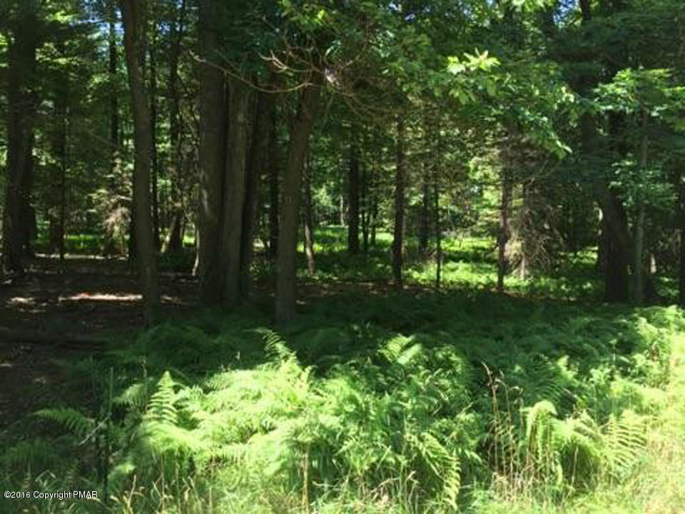 Moseywood Rd Lake Lake Harmony, PA 18624 - Photo 2 of 14 a view of outdoor space and yard
