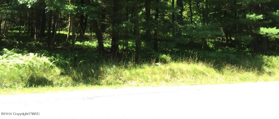 Moseywood Rd Lake Lake Harmony, PA 18624 - Photo 4 of 14