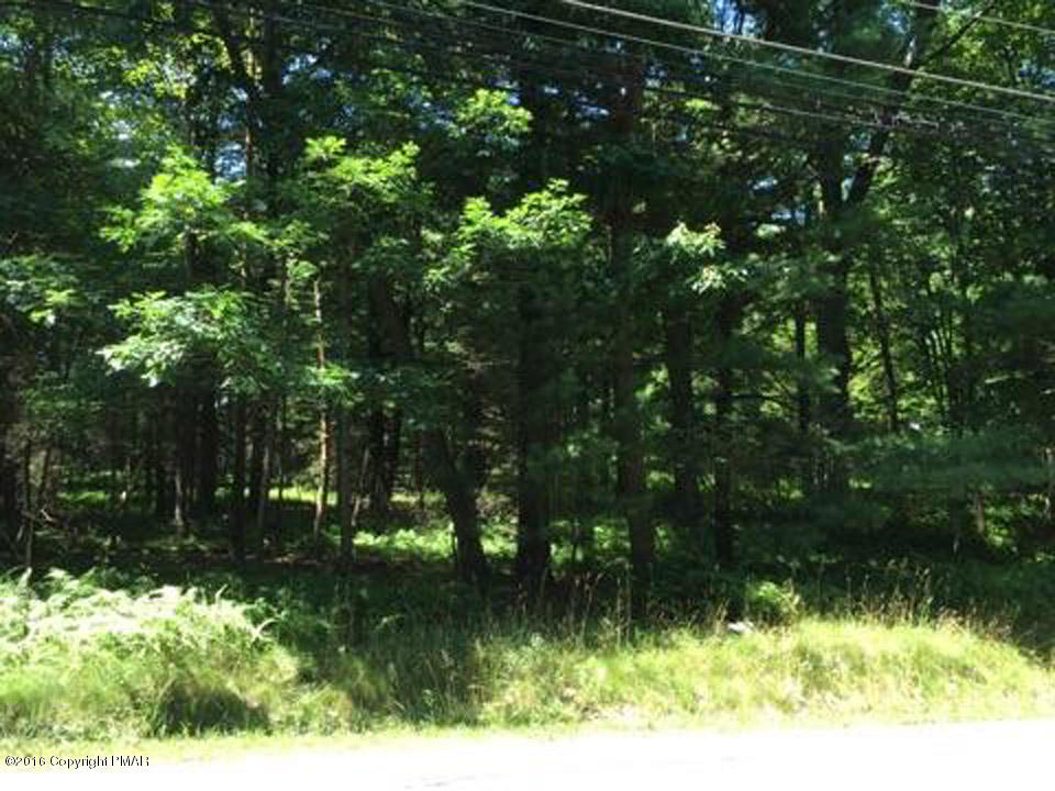 Moseywood Rd Lake Lake Harmony, PA 18624 - Photo 5 of 14 a backyard of a house with lots of green space