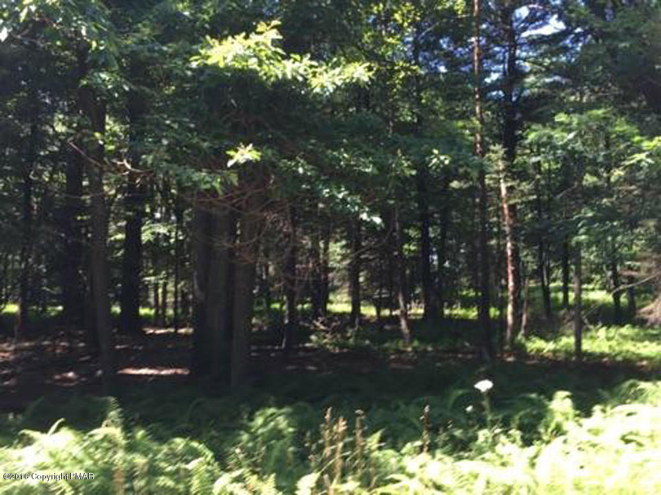 Moseywood Rd Lake Lake Harmony, PA 18624 - Photo 6 of 14 a backyard of a house with lots of green space