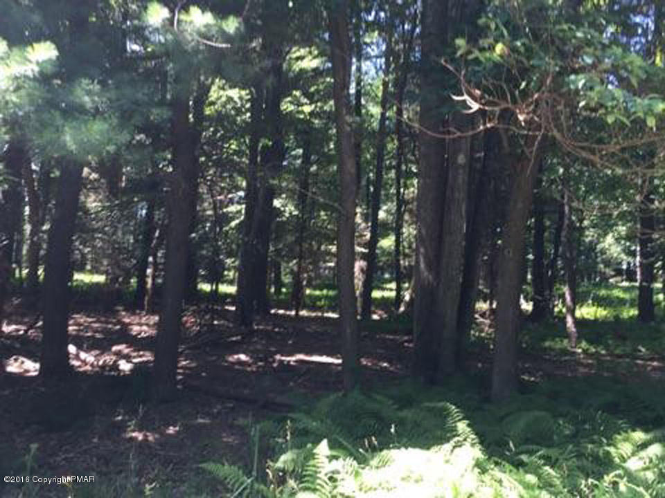 Moseywood Rd Lake Lake Harmony, PA 18624 - Photo 7 of 14 a backyard of a house with lots of green space