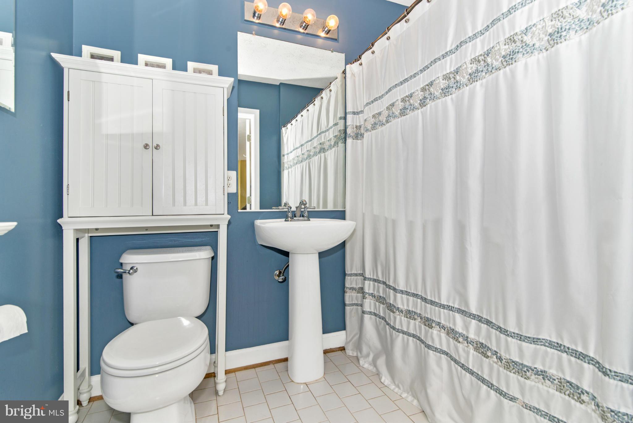 6343 Springwater Terrace, Unit 1012 Frederick, MD 21701 - Photo 27 of 30 Bath (Master)