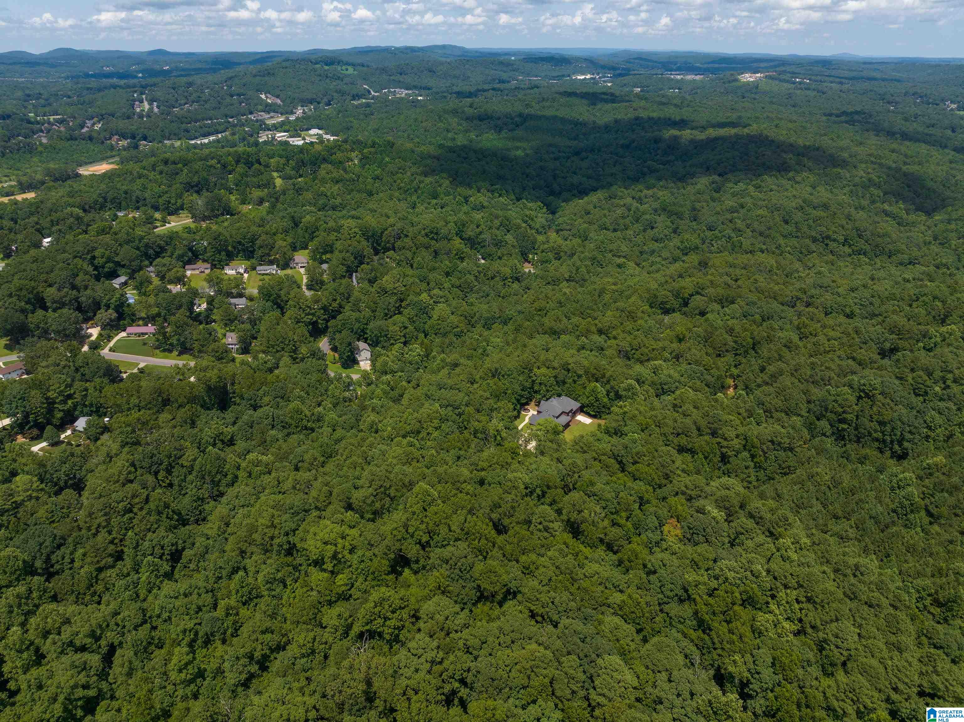 75 Ridgewood Drive Trussville, AL 35173 - Photo 49 of 49
