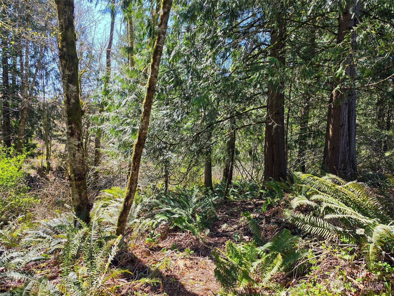 23430 Fisk Road East Orting, WA 98360 - Photo 40 of 40